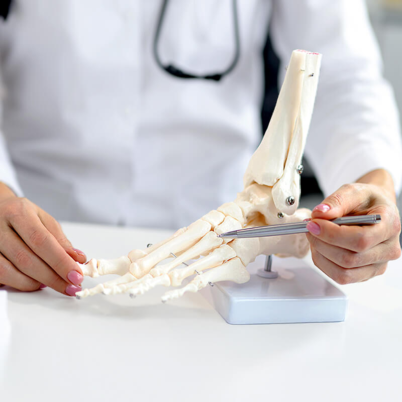 orthopédie-spécialités-hôpital-recoletas-santé-marbella