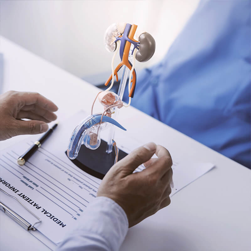 urologia. Hospital Recoletas Salud Marbella