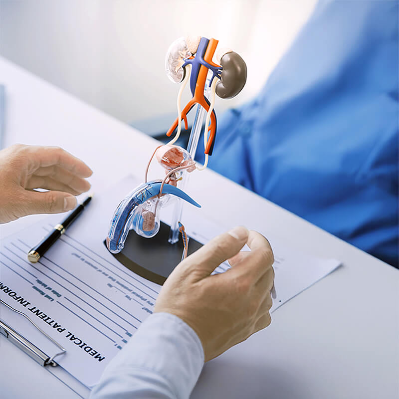 urologie-hôpital-recolestas-santé-marbella urologie-hôpital-recolestas-santé-marbella